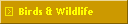 Birds & Wildlife
