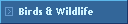 Birds & Wildlife