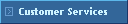 Customer Services